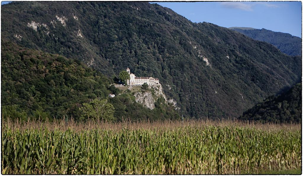 Locanda Del Re Feltre Exterior photo